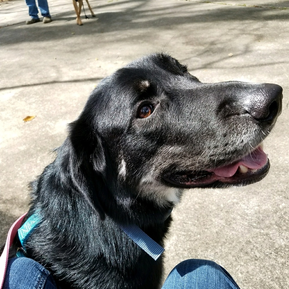 Meet your Posher, Brenda